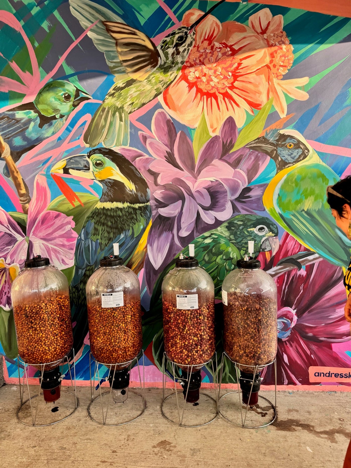Edwin Enrique Noreña · Smoothie · Caturra Co-Ferment with Passion Fruit & Banana