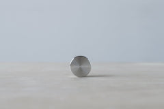 Calibration Weight 100 g