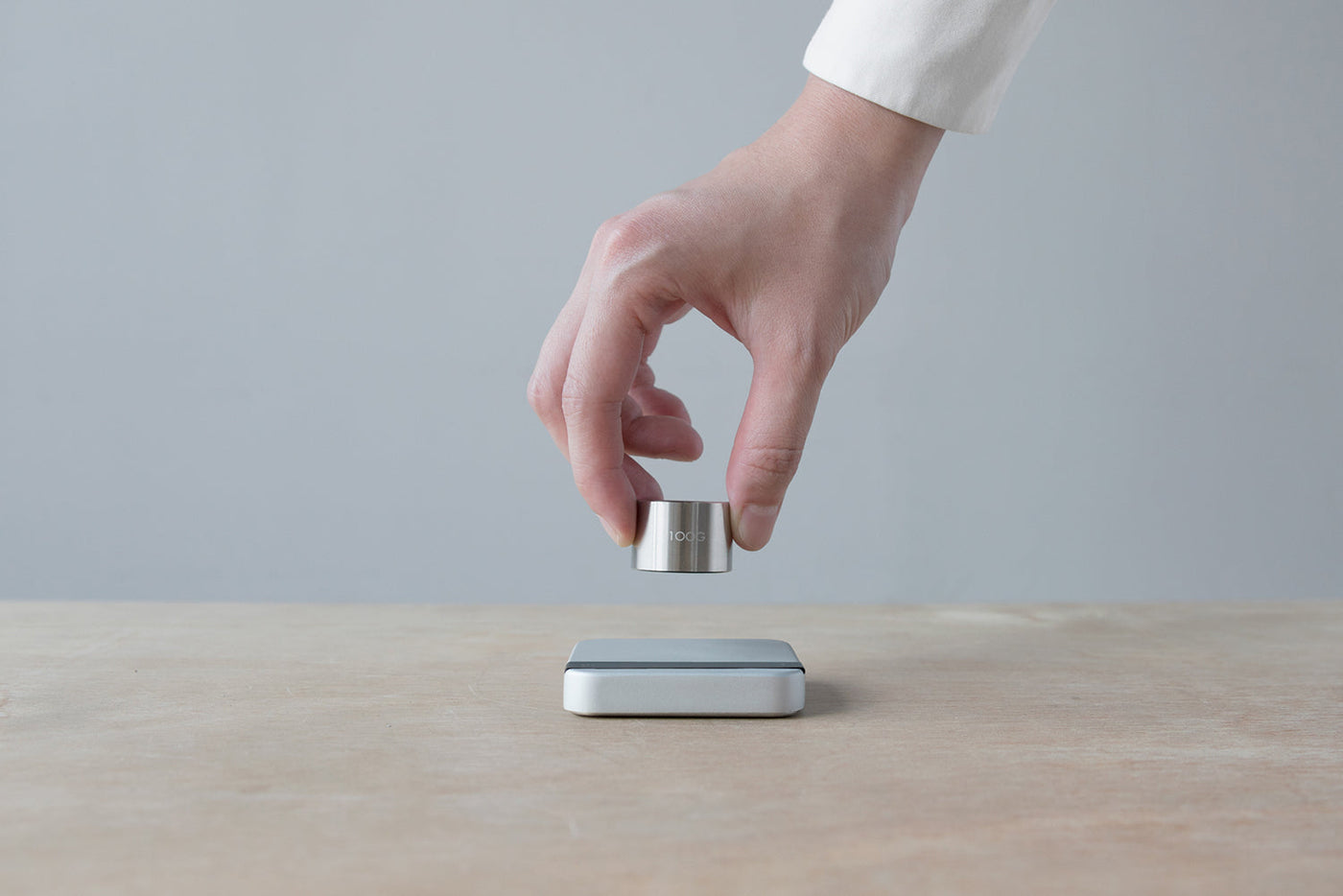 Calibration Weight 100 g