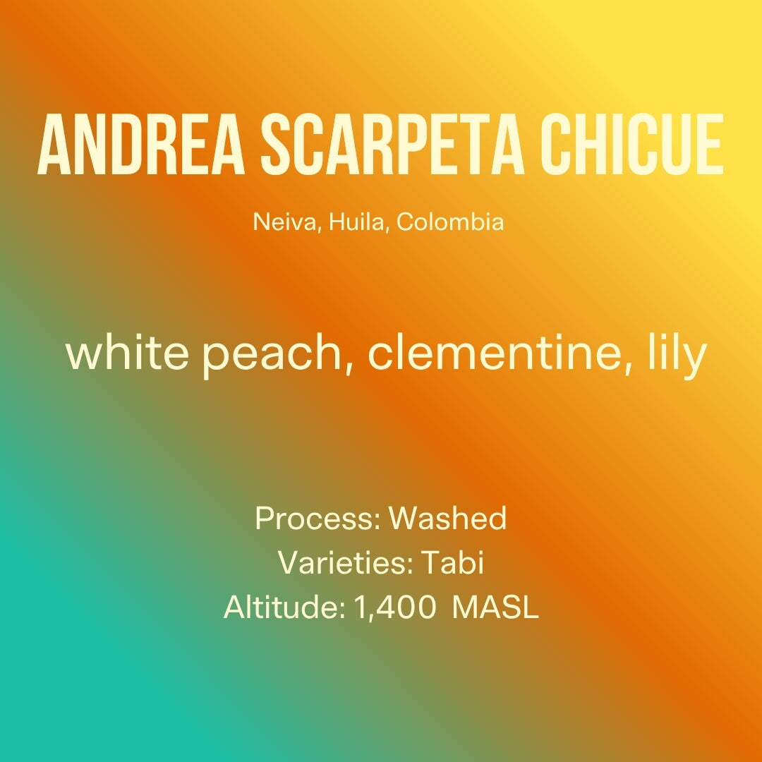 Image of Andrea Scarpeta Chicue · Tabi · Washed