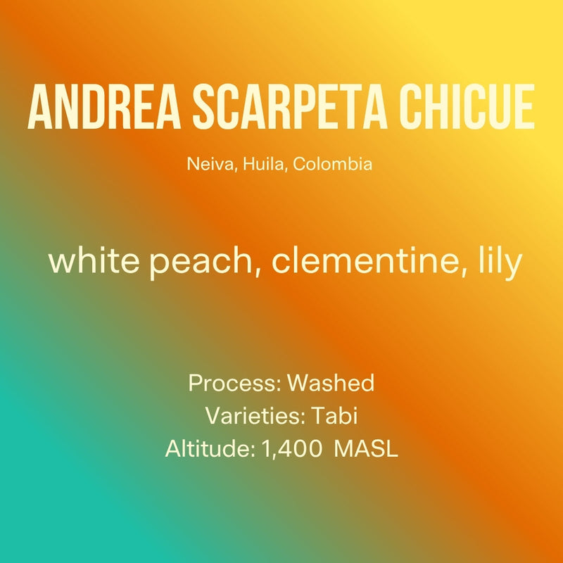 Andrea Scarpeta Chicue · Tabi · Washed