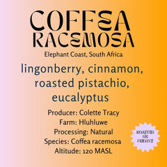 Elephant Coast Farm · Coffea racemosa · Natural