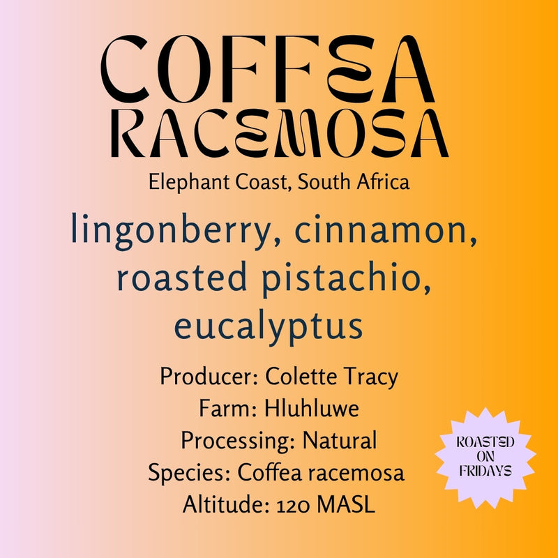 Elephant Coast Farm · Coffea racemosa · Natural