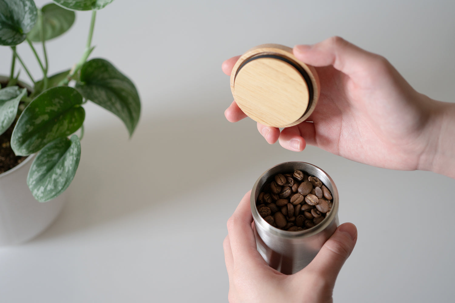 Image of Portafilter Dosing Cup & Storage Lid Medium