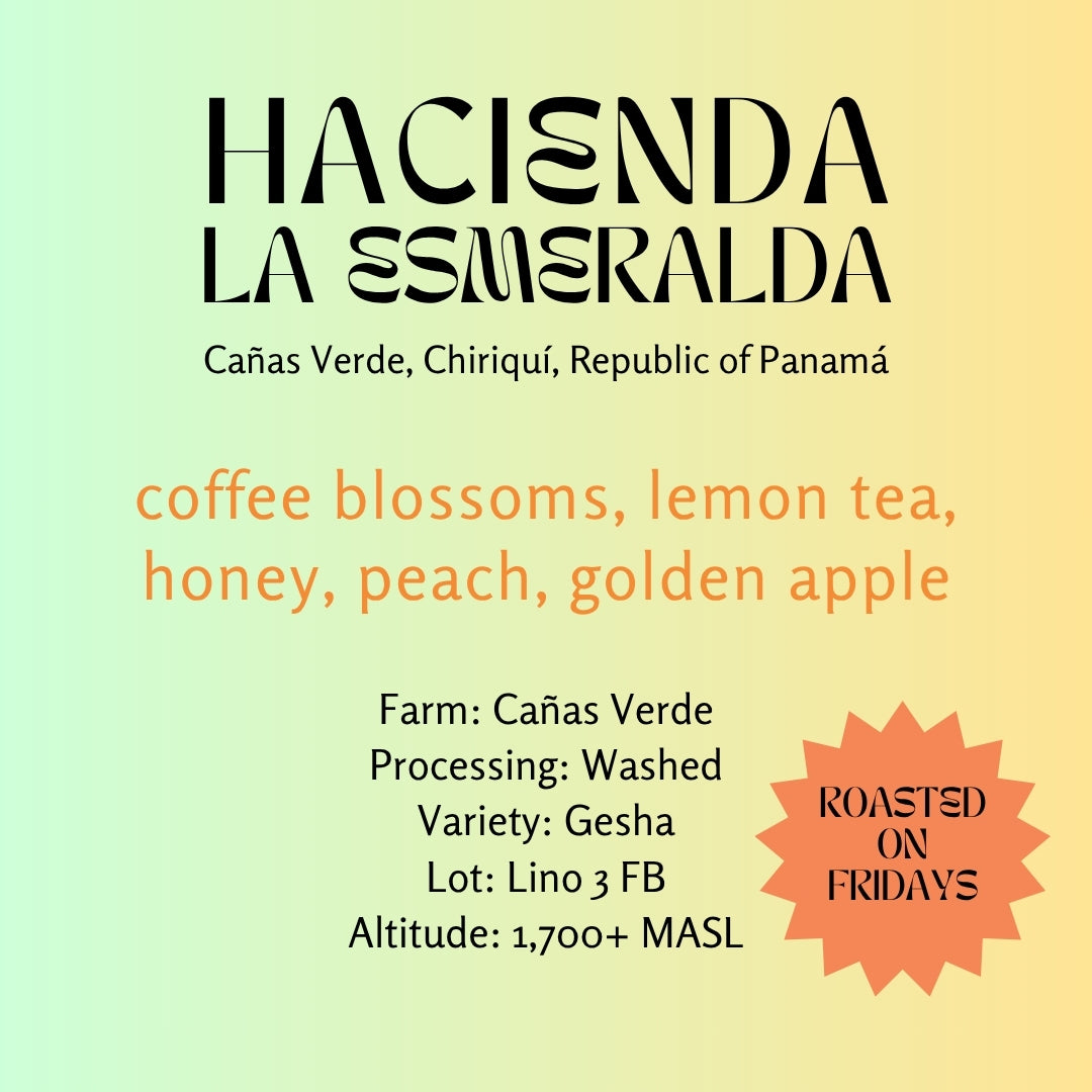 Image of Hacienda La Esmeralda · Gesha · Washed