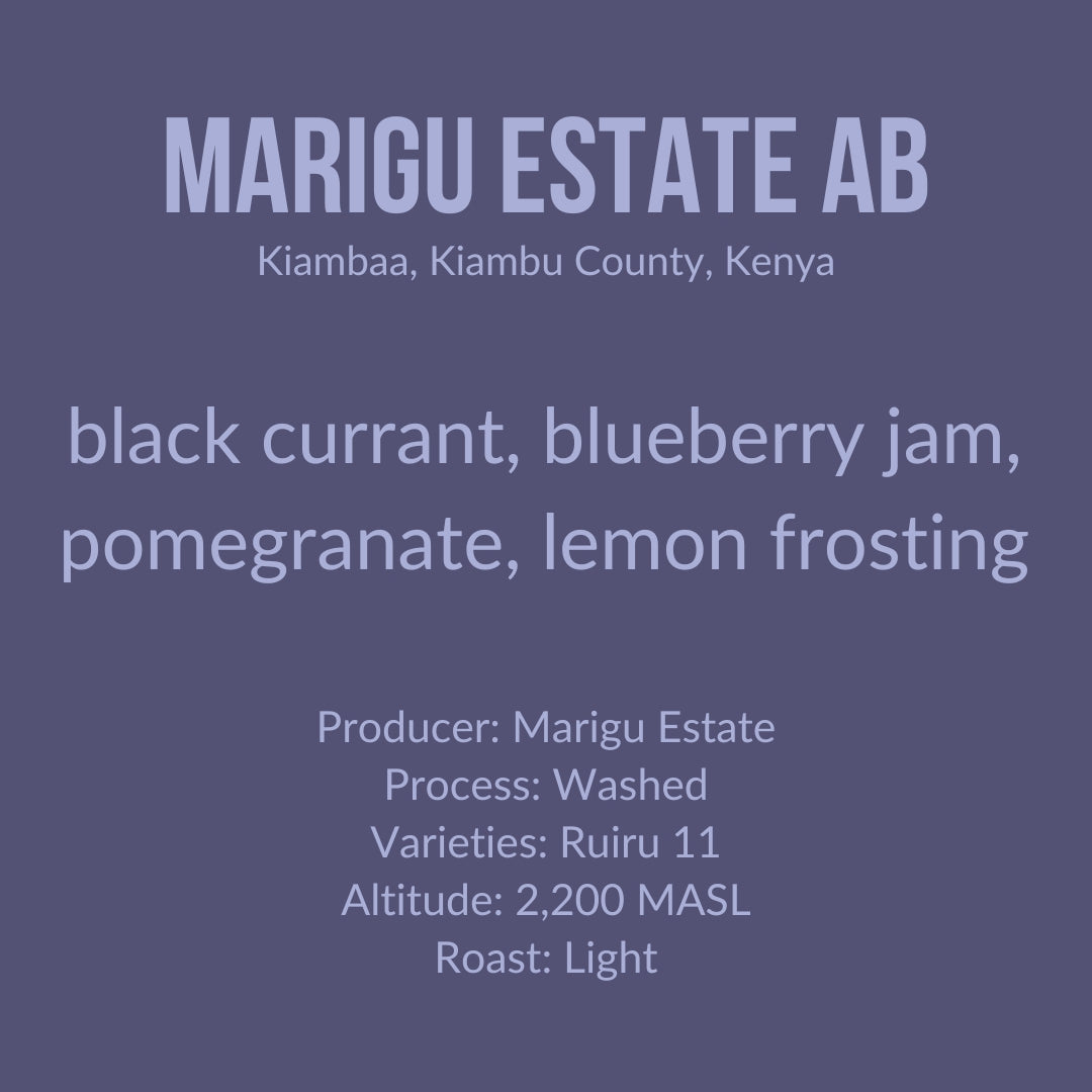Image of Marigu Estate · SL28 & SL34 · Washed