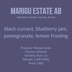 Marigu Estate · SL28 & SL34 · Washed