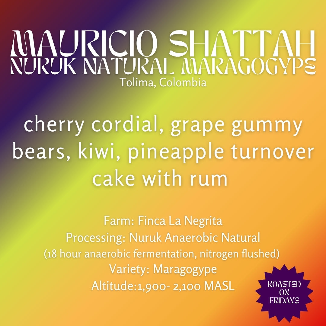 Image of Mauricio Shattah · Maragogype · Nuruk Anaerobic Natural