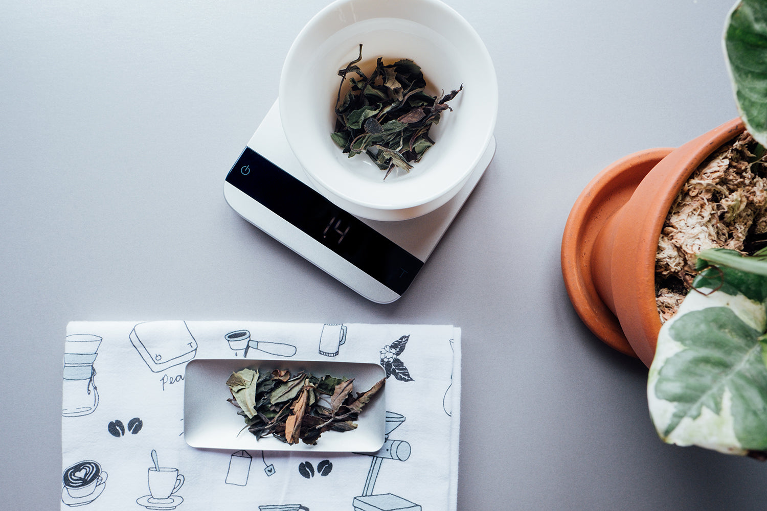 Image of Tea Scoops