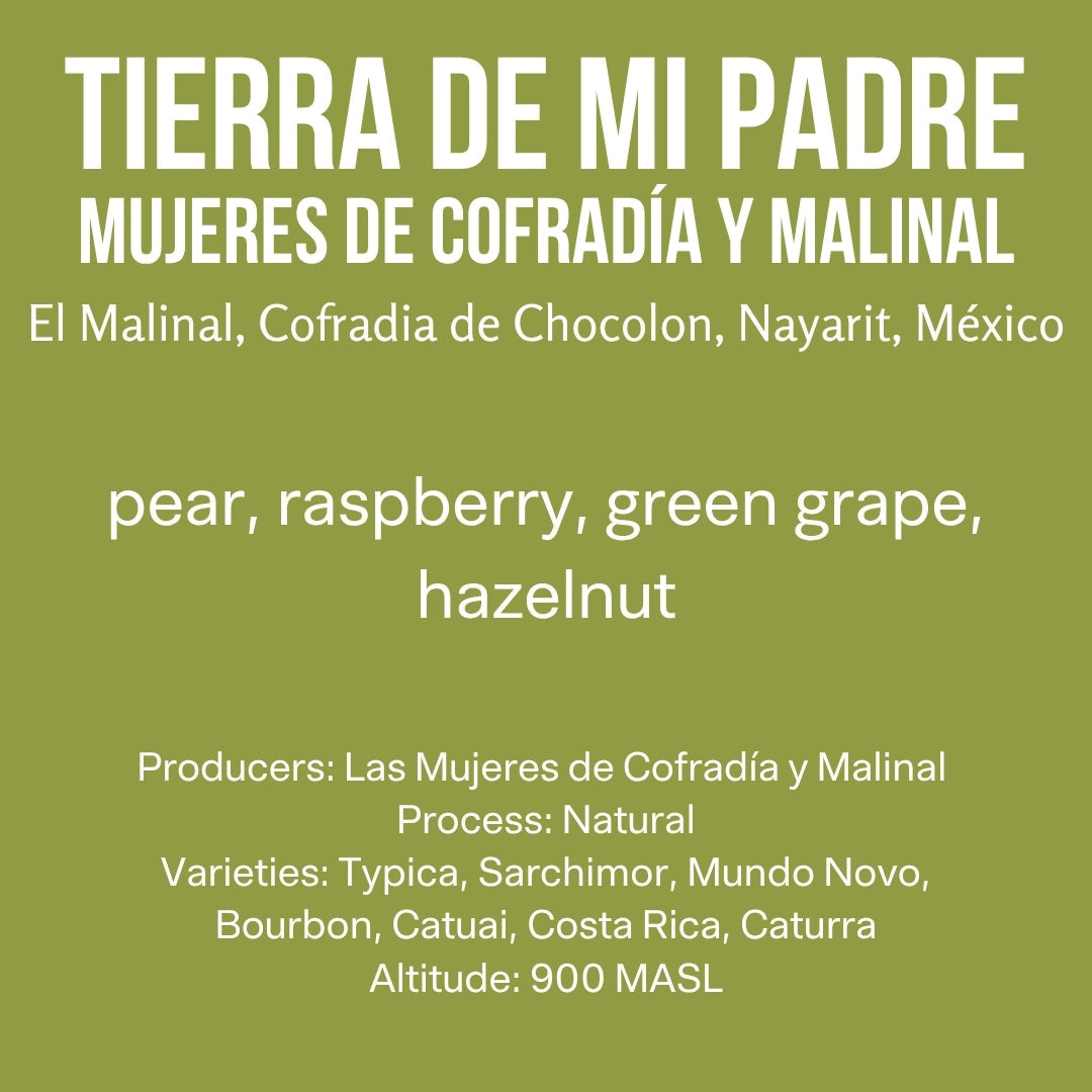 Image of Tierra de Mi Padre: Cofradía y Malinal · Typica Blend · Natural